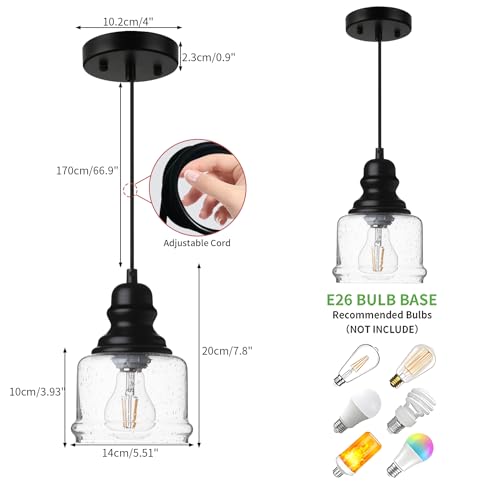 WILON Industrial Pendant Light, 4'' Black Seeded Glass