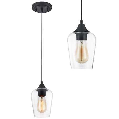 VONLUCE Black Pendant Light with Clear Glass Shade
