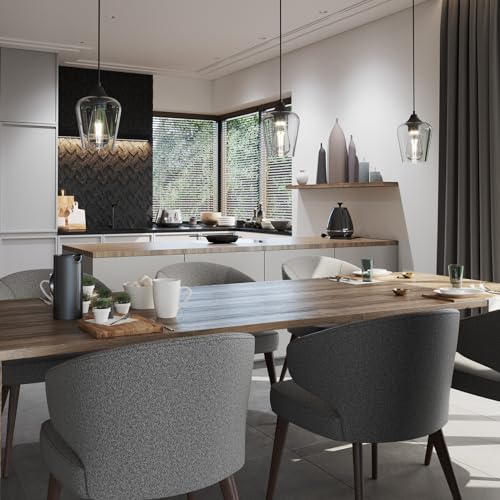 VONLUCE Black Pendant Light with Clear Glass Shade