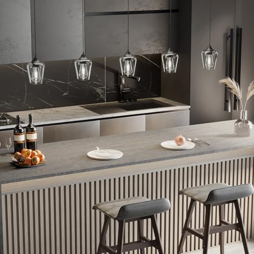 VONLUCE Black Pendant Light with Clear Glass Shade