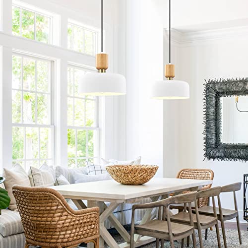 TeHenoo Modern Wood and Brass Pendant Lighting - White