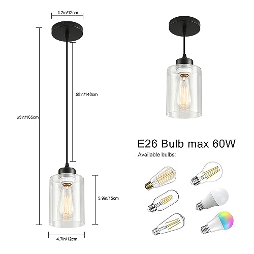Set of 2 Modern Black Farmhouse Pendant Lights