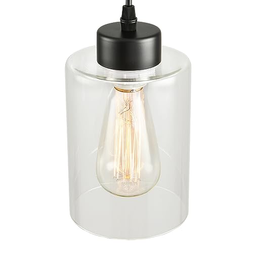 Set of 2 Modern Black Farmhouse Pendant Lights