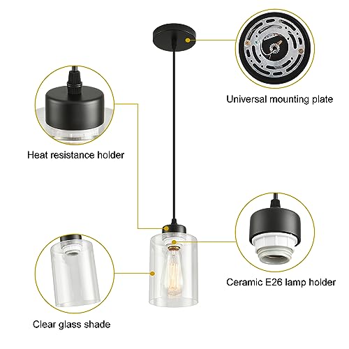 Set of 2 Modern Black Farmhouse Pendant Lights