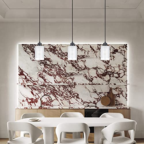 Dolaimi House 3 Pack Industrial Pendant Light Fixture