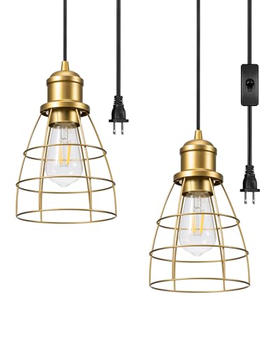 DEWENWILS Industrial Plug in Pendant Light Fixture 2 Pack