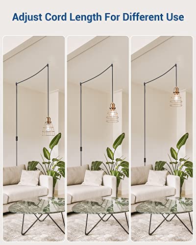 DEWENWILS Industrial Plug in Pendant Light Fixture 2 Pack