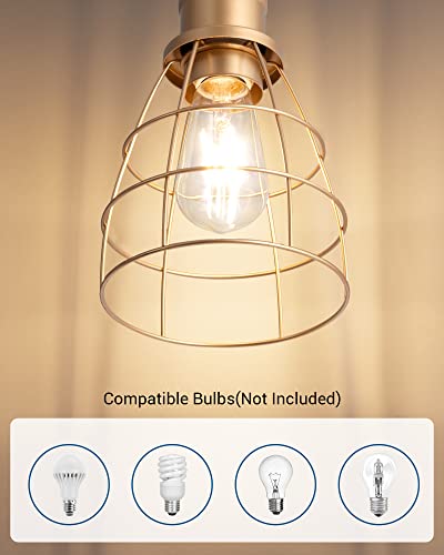 DEWENWILS Industrial Plug in Pendant Light Fixture 2 Pack