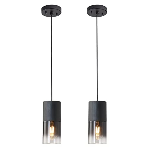 Black Pendant Light Fixtures 2-Pack, Adjustable Modern Industrial