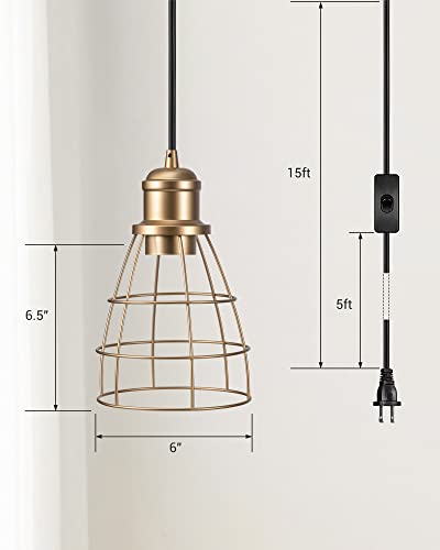 DEWENWILS Industrial Plug in Pendant Light Fixture 2 Pack