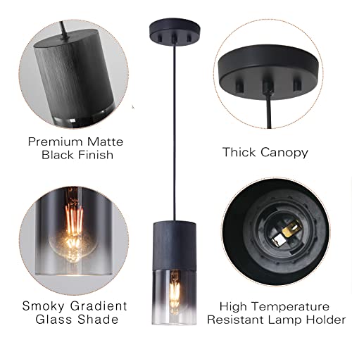 Black Pendant Light Fixtures 2-Pack, Adjustable Modern Industrial