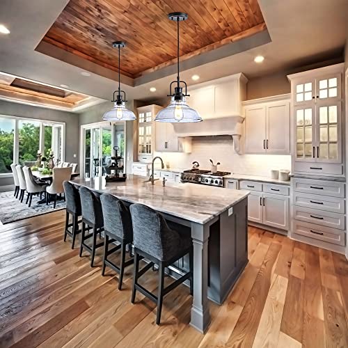 Black Industrial Pendant Light with Adjustable Cord