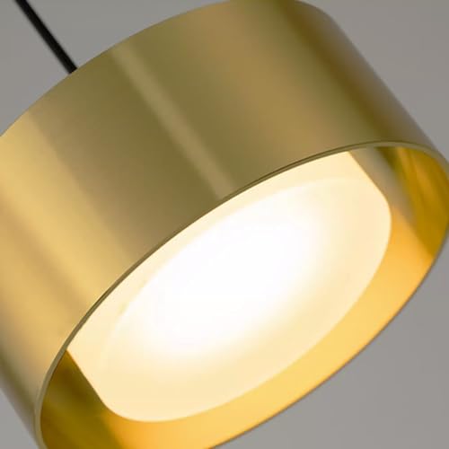 AXILAND LED Gold Mini Pendant Lights for Kitchen