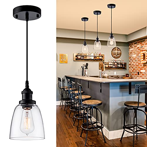 IMPIOIO Industrial Clear Glass Pendant Light, Black