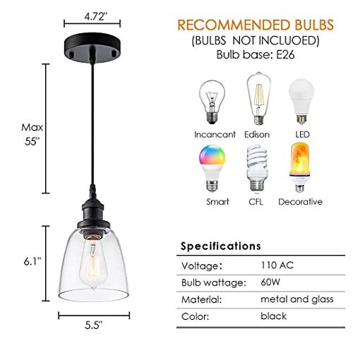 IMPIOIO Industrial Clear Glass Pendant Light, Black