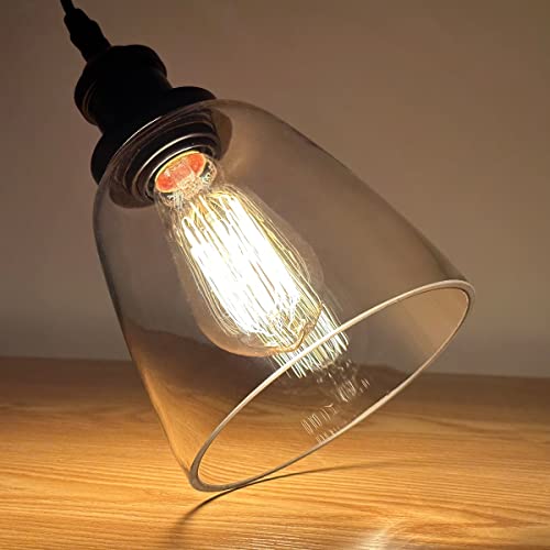 IMPIOIO Industrial Clear Glass Pendant Light, Black