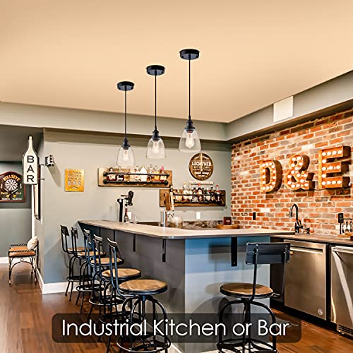 IMPIOIO Industrial Clear Glass Pendant Light, Black