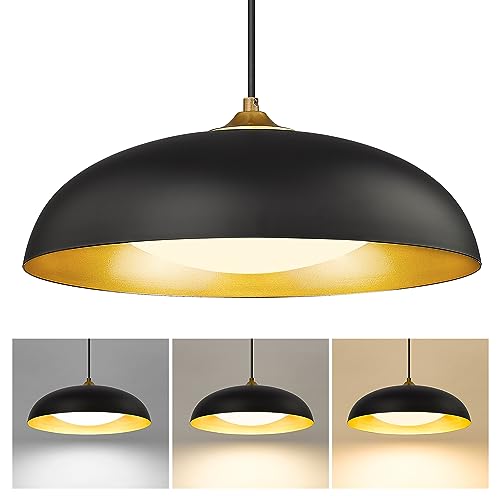 Black and Gold Modern LED Pendant Light Fixture