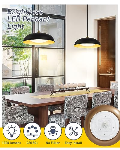 Black and Gold Modern LED Pendant Light Fixture