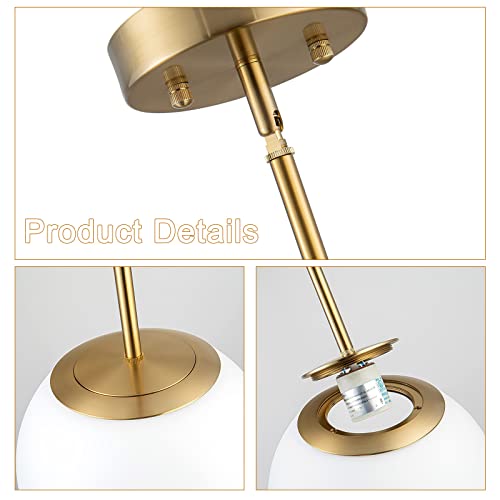 DALIVOL Modern Opal Glass Globe Pendant Light Gold Finish