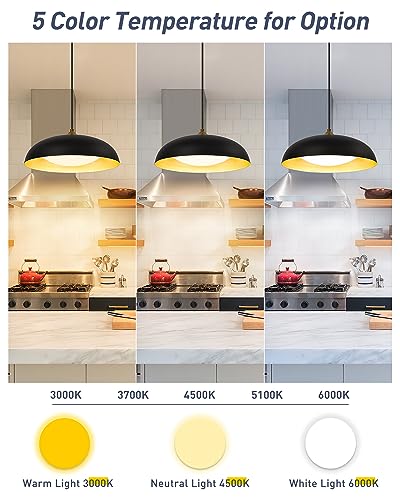 Black and Gold Modern LED Pendant Light Fixture
