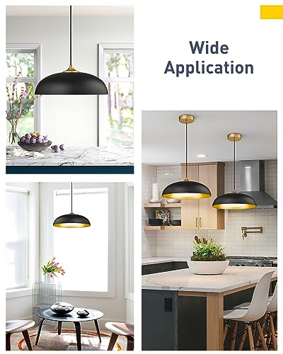 Black and Gold Modern LED Pendant Light Fixture