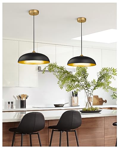 Black and Gold Modern LED Pendant Light Fixture