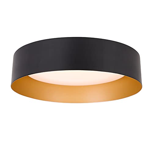 Matte Black & Gold 12.5" LED Ceiling Light