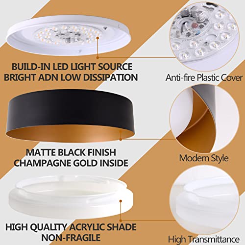 Matte Black & Gold 12.5" LED Ceiling Light