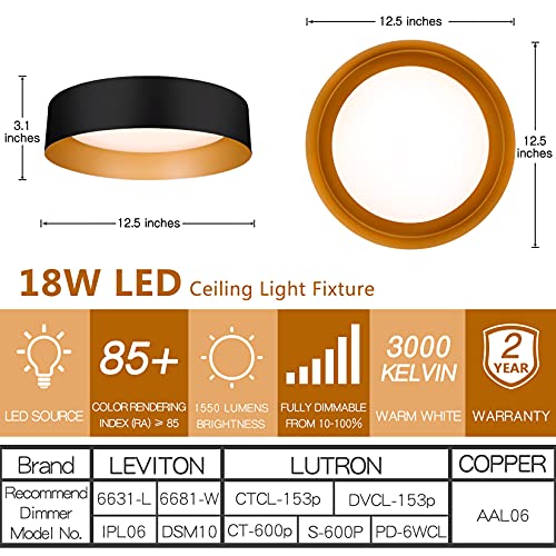 Matte Black & Gold 12.5" LED Ceiling Light