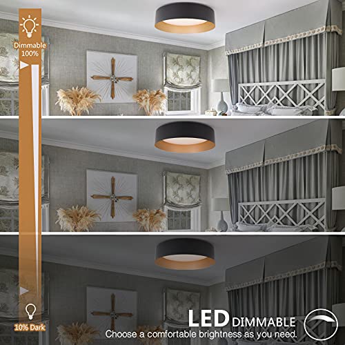 Matte Black & Gold 12.5" LED Ceiling Light