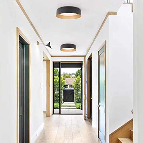 Matte Black & Gold 12.5" LED Ceiling Light