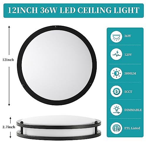 12" 3800LM Dimmable LED Ceiling Light Fixture, Color-Changing