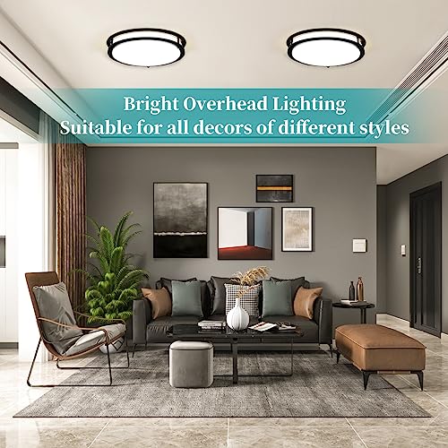 12" 3800LM Dimmable LED Ceiling Light Fixture, Color-Changing