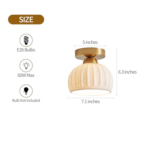 Gold Farmhouse Ceiling Light Fixtures Set of 2