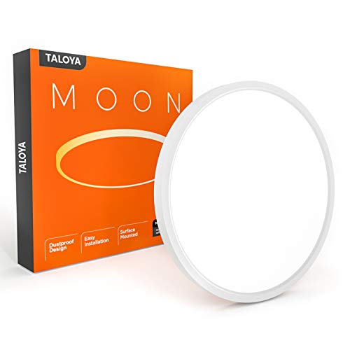 TALOYA Flush Mount 12 Inch LED Ceiling Light