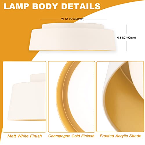 12.5 Inch LED Flush Mount Ceiling Light, 26W, 3 Color Options