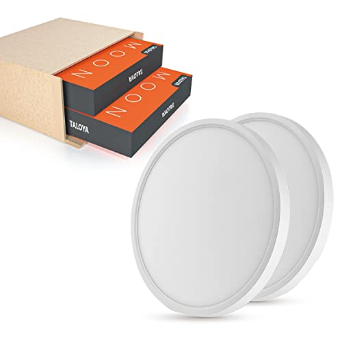 TALOYA 12" LED Flush Mount Ceiling Light Fixture