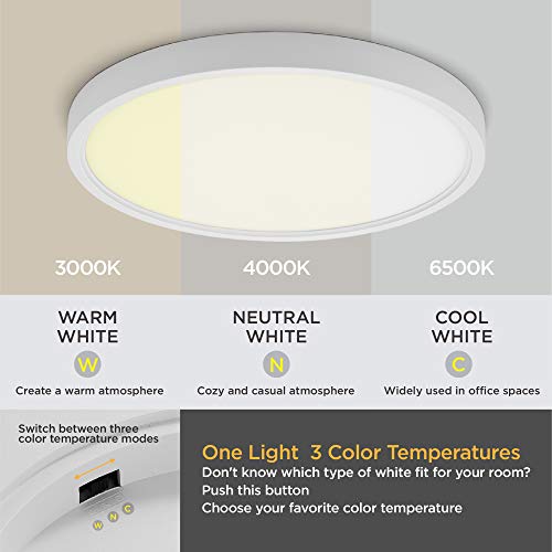 TALOYA 12" LED Flush Mount Ceiling Light Fixture