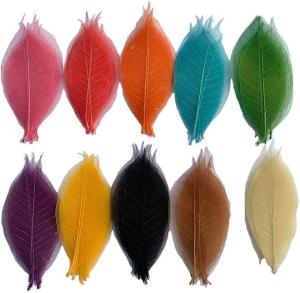 100 Pcs Natural Skeleton Leaves for DIY Scrapbooking