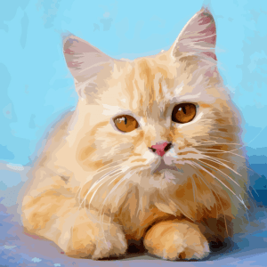 Oil Painting by Wonder Color - Photo by Number