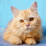 Oil Painting by Wonder Color - Photo by Number