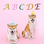 Sparkling Glitter Alphabet Stickers - 12 Vibrant Colors