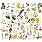 Vintage Animals and Plants Stickers for Scrapbooking