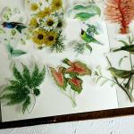 Vintage Animals and Plants Stickers for Scrapbooking