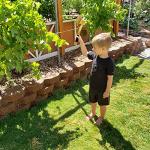 Adventure Awaits! - 2-Pack - Wooden Toy Axe Hatchet - Handmade - Lightweight Wood Toy Hatchet Set for Outdoor Play