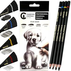 Urbify Charcoal Château - 24 Professional Charcoal Pencils - Four Hardness Levels - Perfect for Rich Shading, Sketching, Drawing & Art (24PCs)