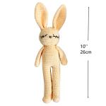 Moni's Choice Baby Stuffed Bunny Plush Easter Gifts Handmade Stuffed Animal Knitted Doll Baby Sleep Toy Newborn (Cream)