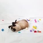 [Kitteney] (7 Count) 100% Australian Wool Felt Ball Toys for Cats and Kittens Handmade Colorful Cat Wool Ball Set, Comfy Pet Supplies Set of 7, Pink Yellow Skyblue, 7 pieces