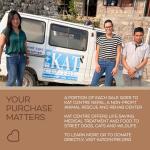 Hustle & Blush Love Ewe Pet Supplies, Cat Toys 100% New Zealand Wool Felt Ball Toys for Cats, Kittens, Small Pets, Handmade Colorful Planet Friendly Cat Wool Balls (2in Round), Pack of 3, Fish/Bird